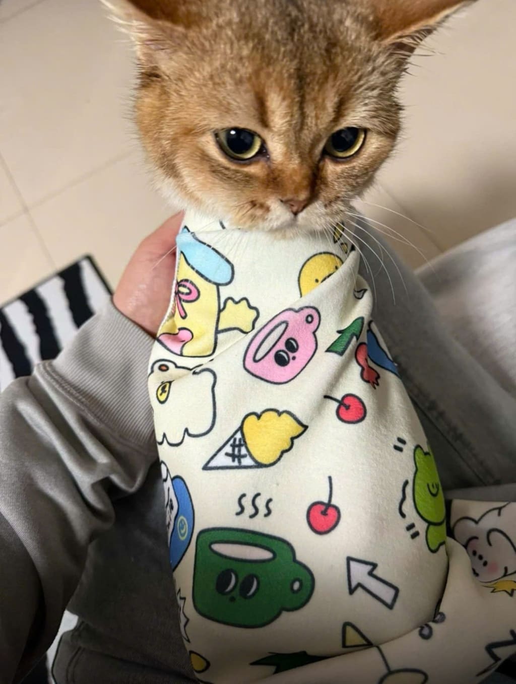 PurrEase Cat Wrap